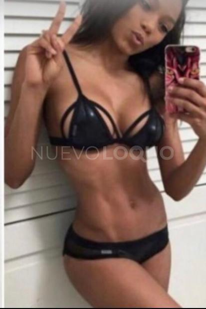 NuevoLoquo2