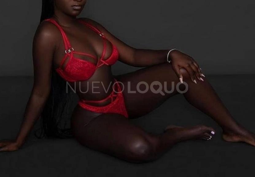 NuevoLoquo3
