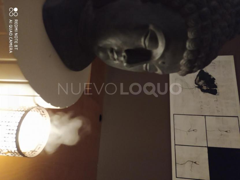 NuevoLoquo4