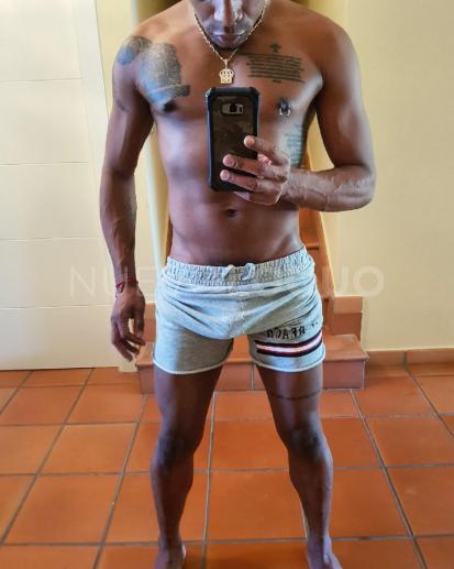 contactos pasion