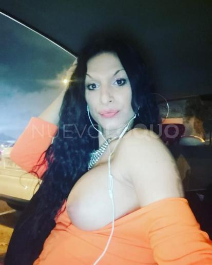 NuevoLoquo2