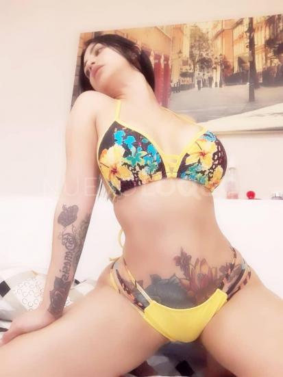 NuevoLoquo5