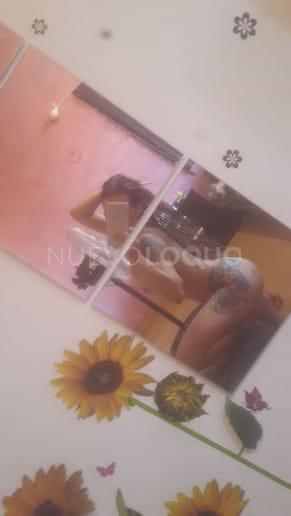 NuevoLoquo2