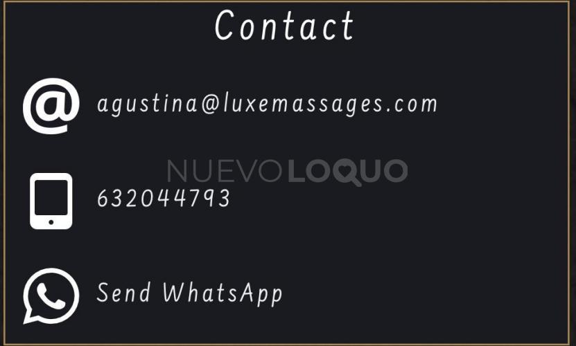 NuevoLoquo2