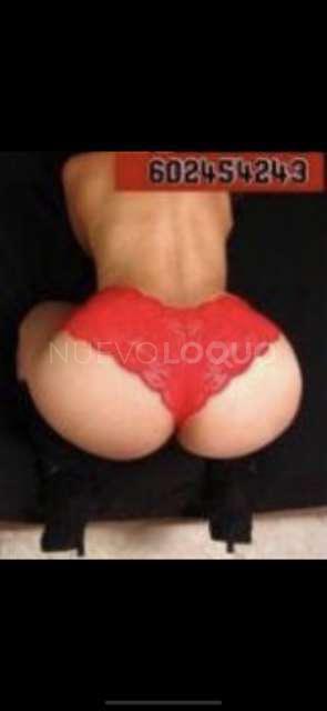 NuevoLoquo2