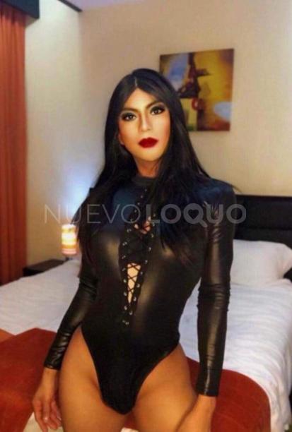 NuevoLoquo1