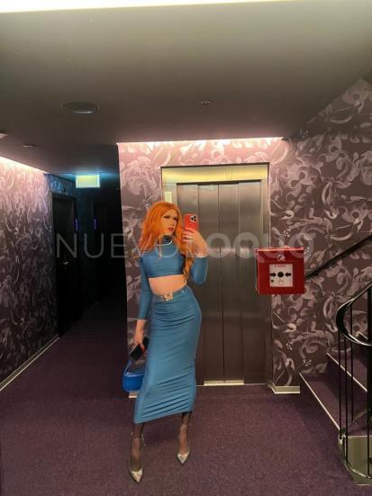 NuevoLoquo2