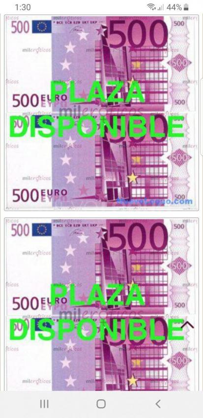 NuevoLoquo3