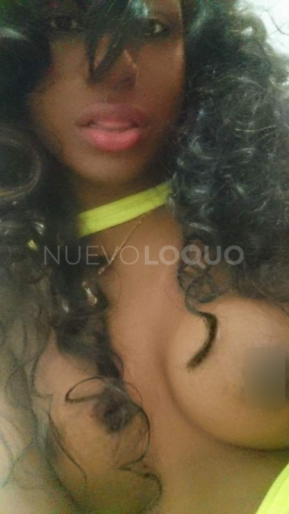 NuevoLoquo3