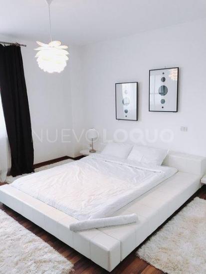 NuevoLoquo3