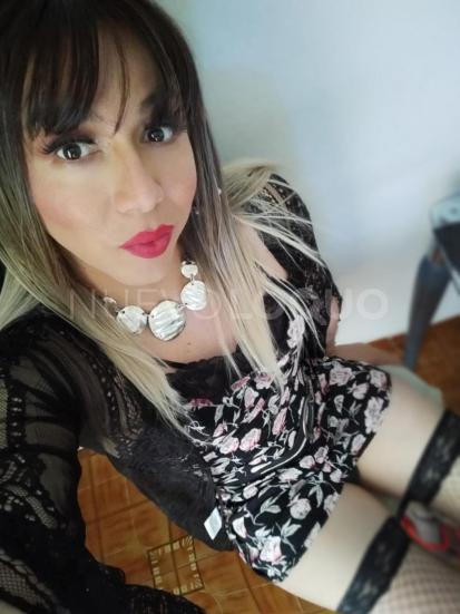 NuevoLoquo5