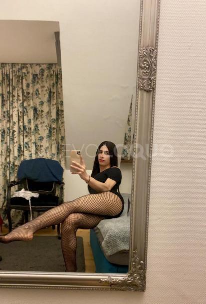 NuevoLoquo4