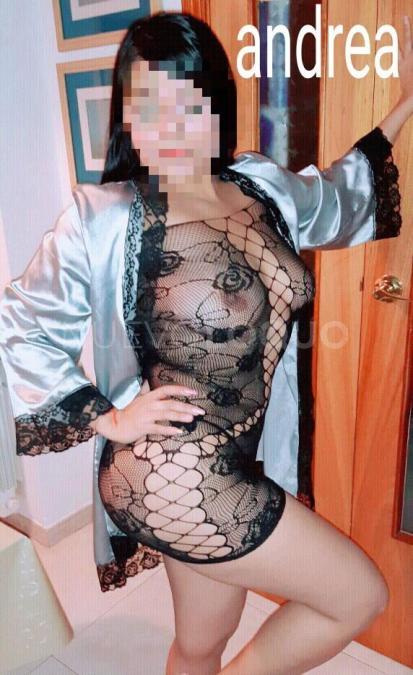 NuevoLoquo3