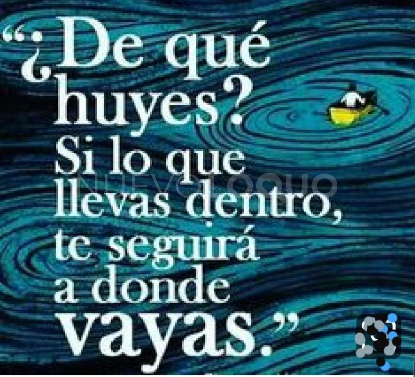 NuevoLoquo3