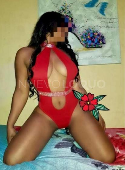 NuevoLoquo4