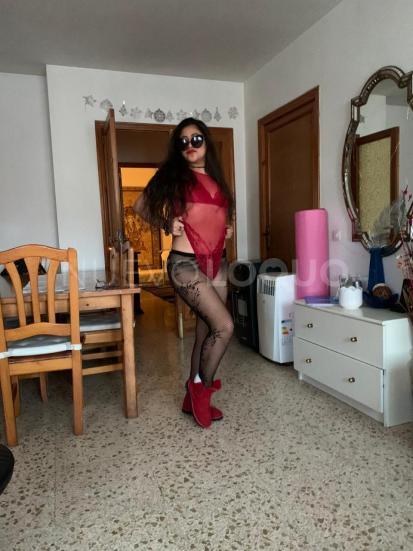 NuevoLoquo5
