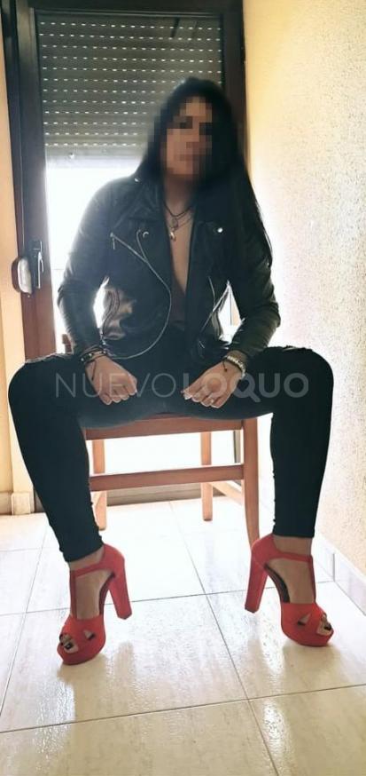 NuevoLoquo1