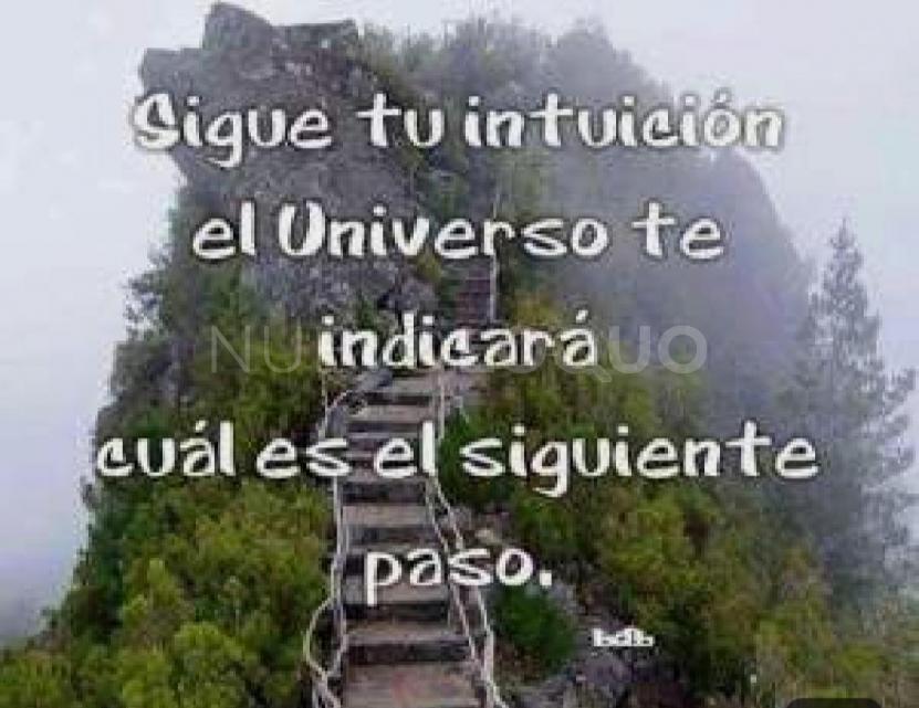 NuevoLoquo3