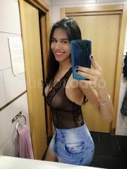 trans disponible 