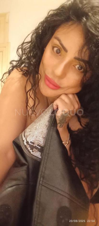 NuevoLoquo3