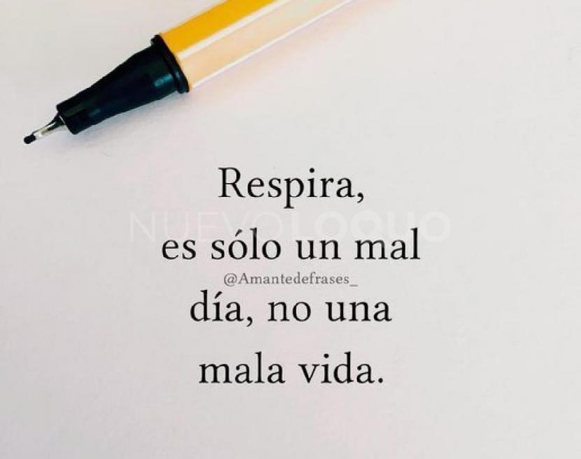 NuevoLoquo4