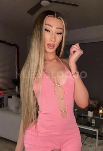 NuevoLoquo3