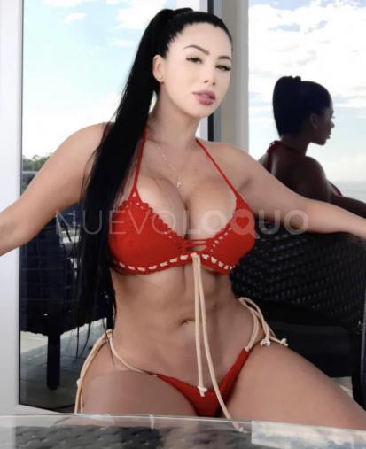 NuevoLoquo2