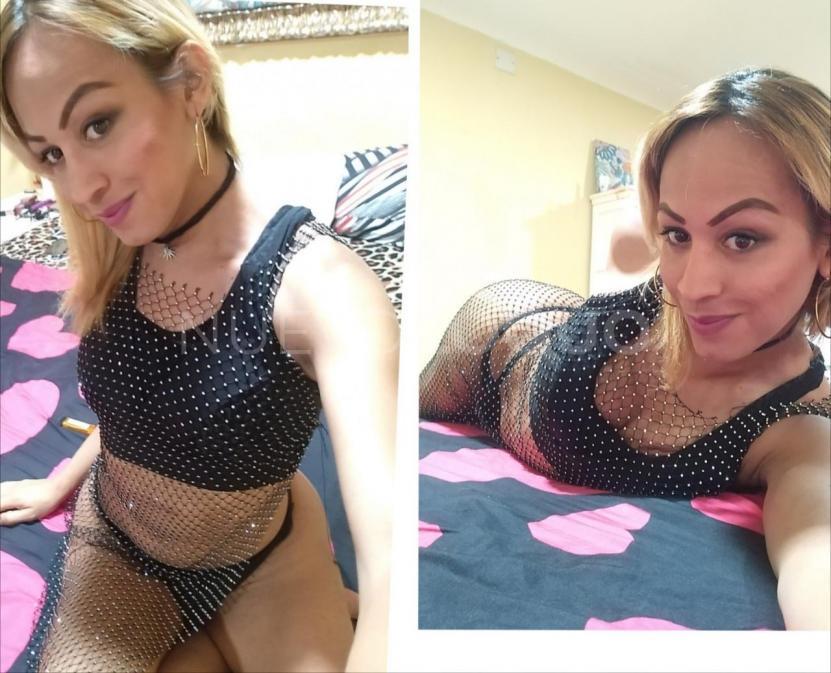 NuevoLoquo1