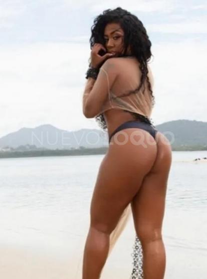 NuevoLoquo3