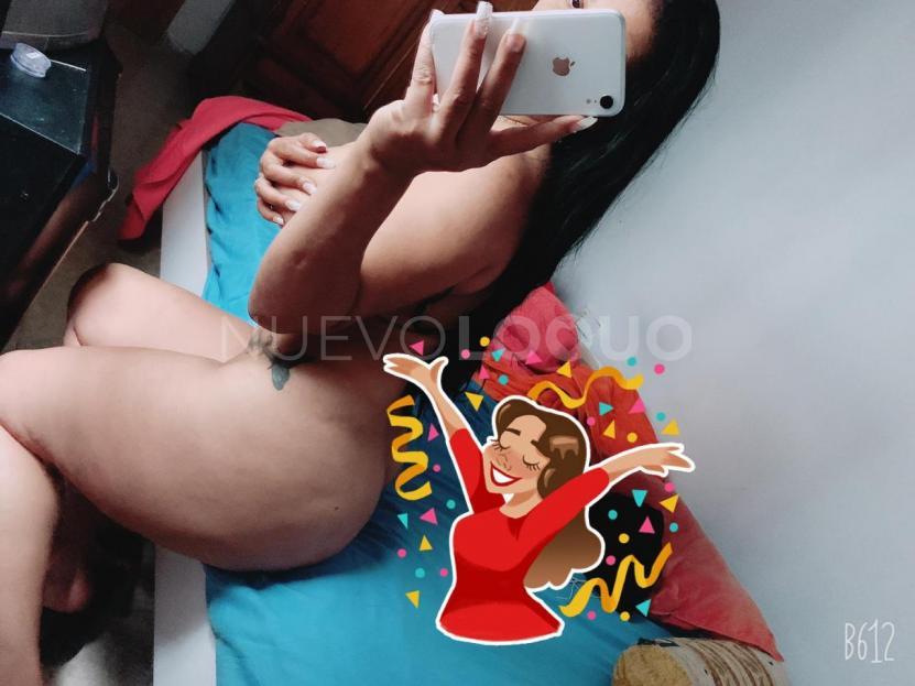 NuevoLoquo3