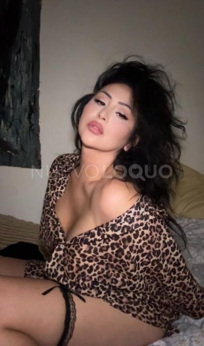 NuevoLoquo2