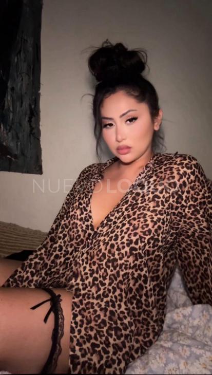 NuevoLoquo3