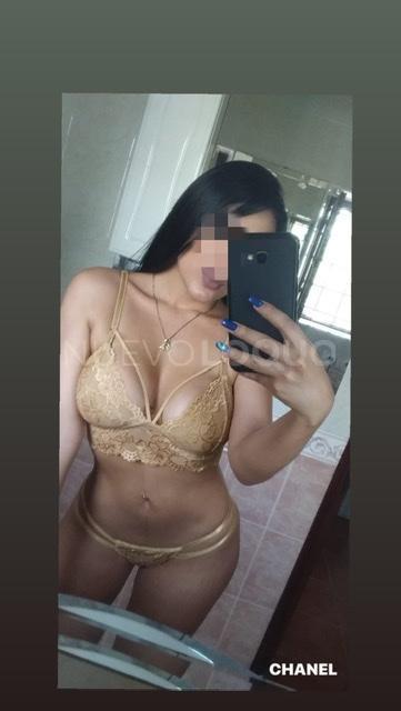 NuevoLoquo3