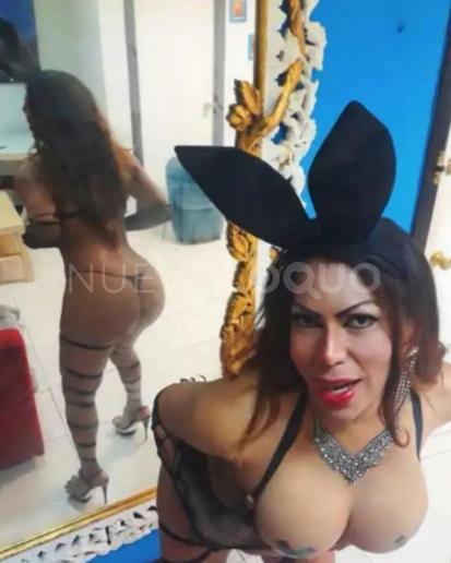 NuevoLoquo1