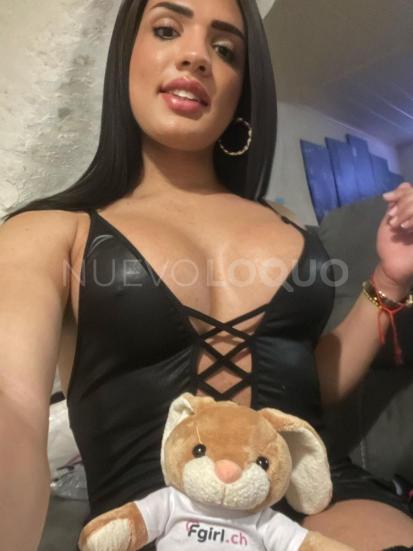 NuevoLoquo2