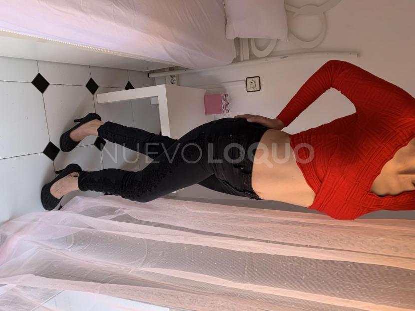 NuevoLoquo5