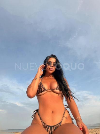 NuevoLoquo2