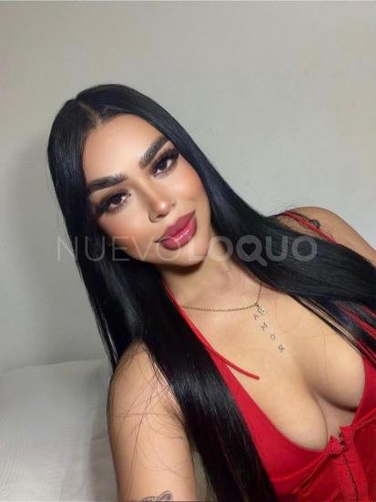 NuevoLoquo4