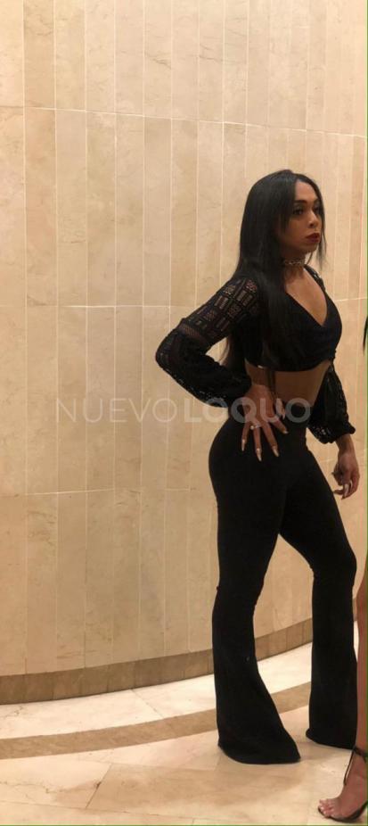 NuevoLoquo4