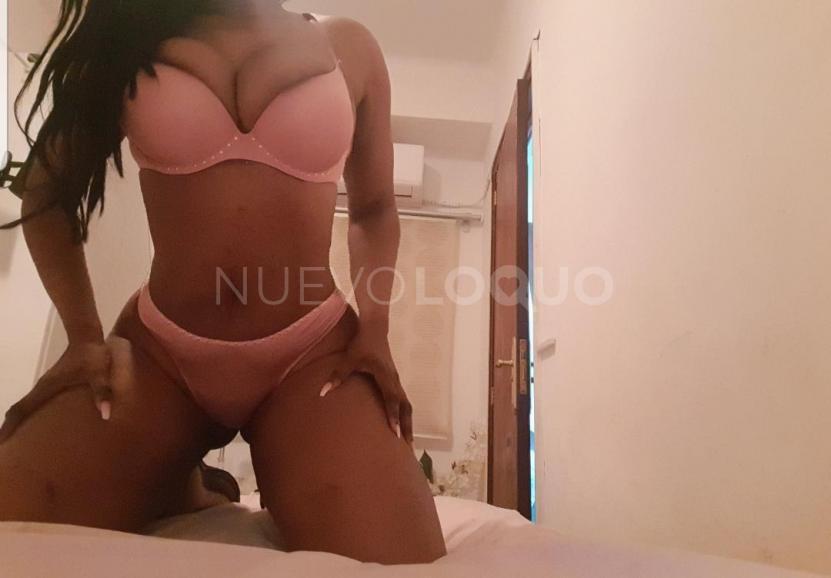 NuevoLoquo3