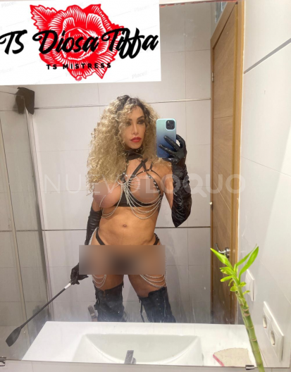 NuevoLoquo3