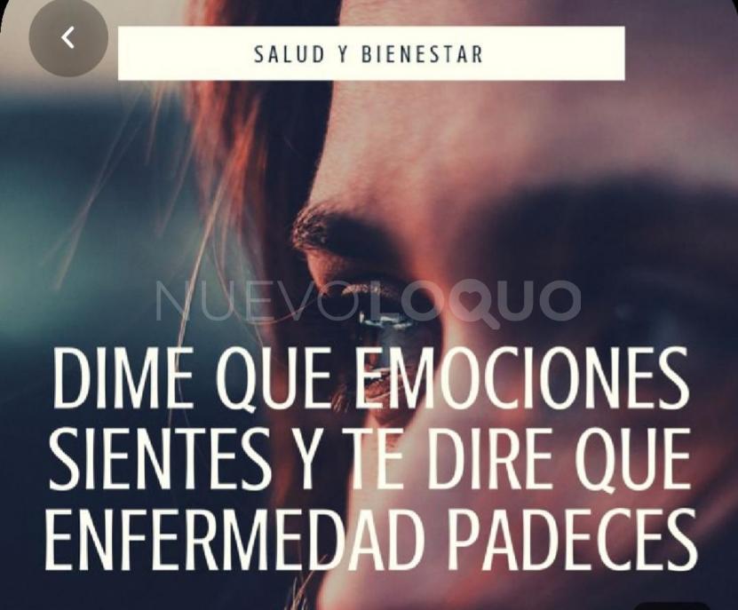 NuevoLoquo3