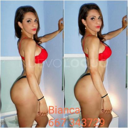 NuevoLoquo2