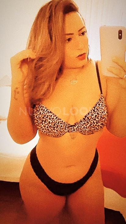 NuevoLoquo3