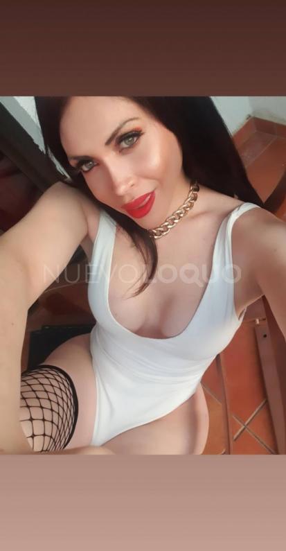 NuevoLoquo1