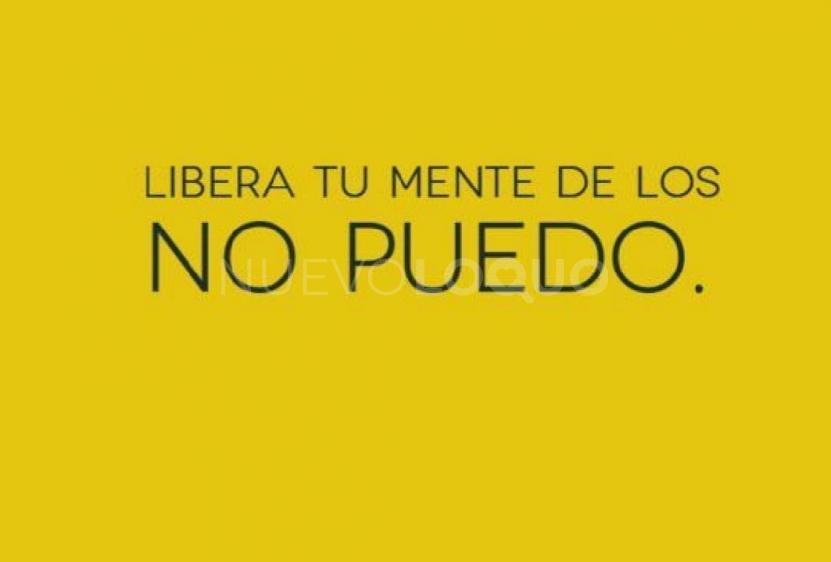 NuevoLoquo3