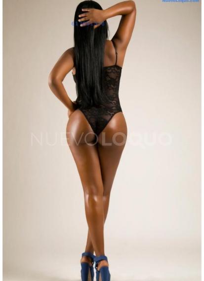 NuevoLoquo2