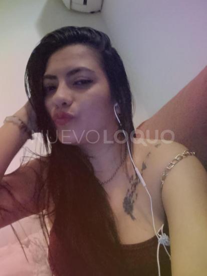 NuevoLoquo4