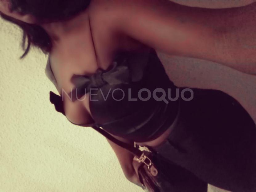 NuevoLoquo2