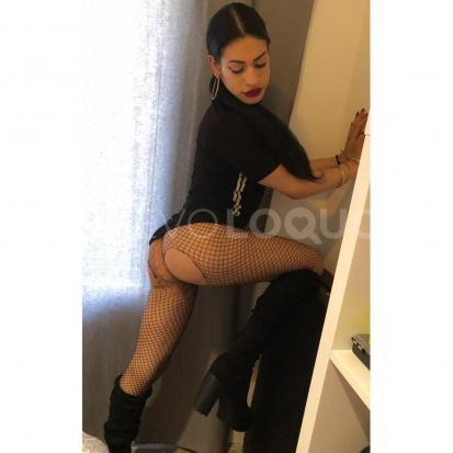NuevoLoquo3